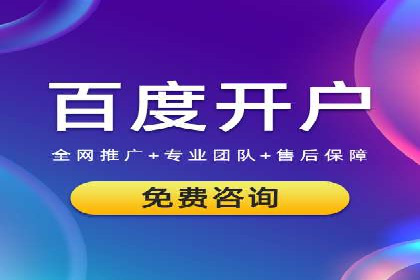 SEM优化策略案例分析