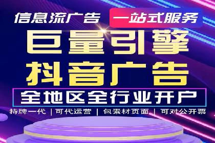 解析某某SEM服务公司的广告投放策略与效果评估